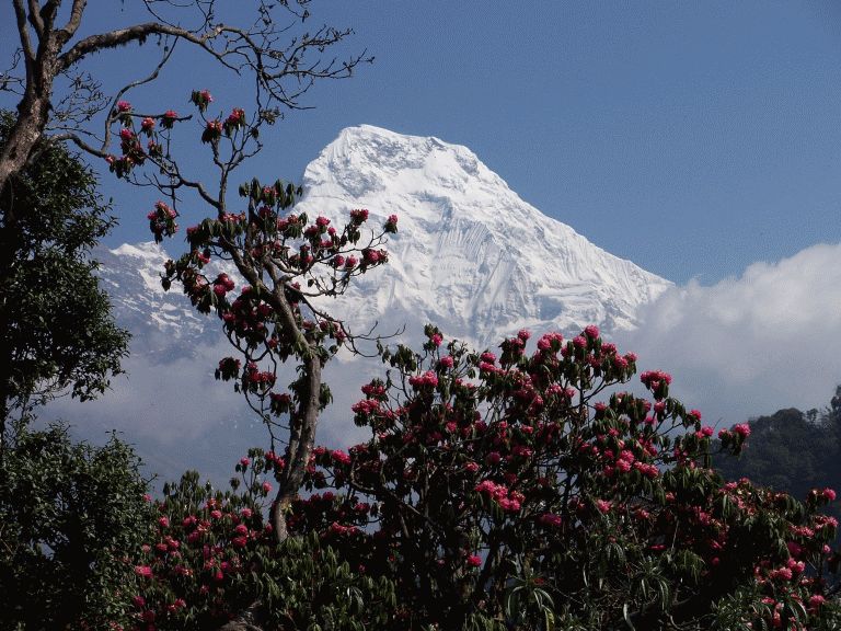 Nepal 2007 499