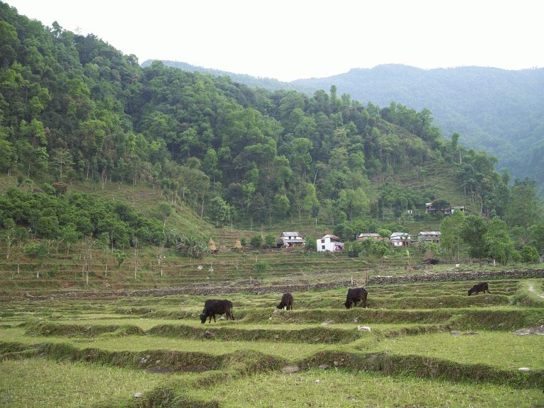 Nepal 2007 853