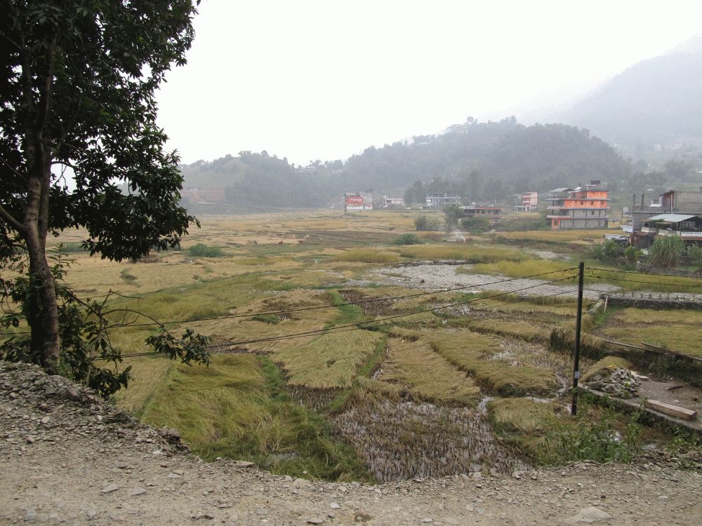 Nepal 2011 166