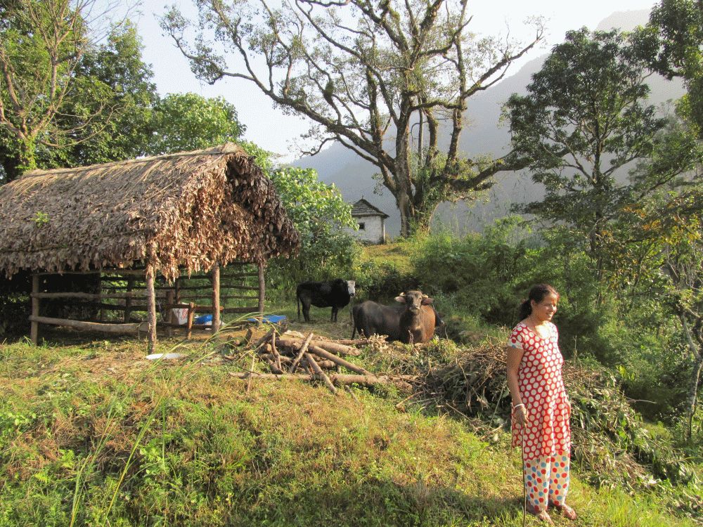 Nepal 2011 229