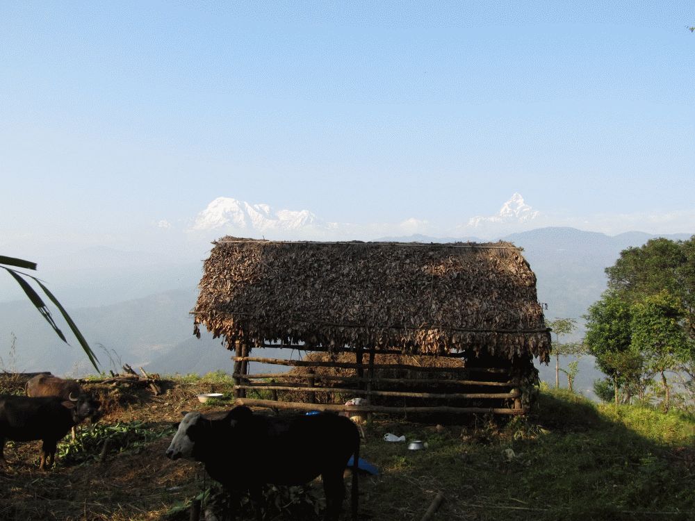 Nepal 2011 231