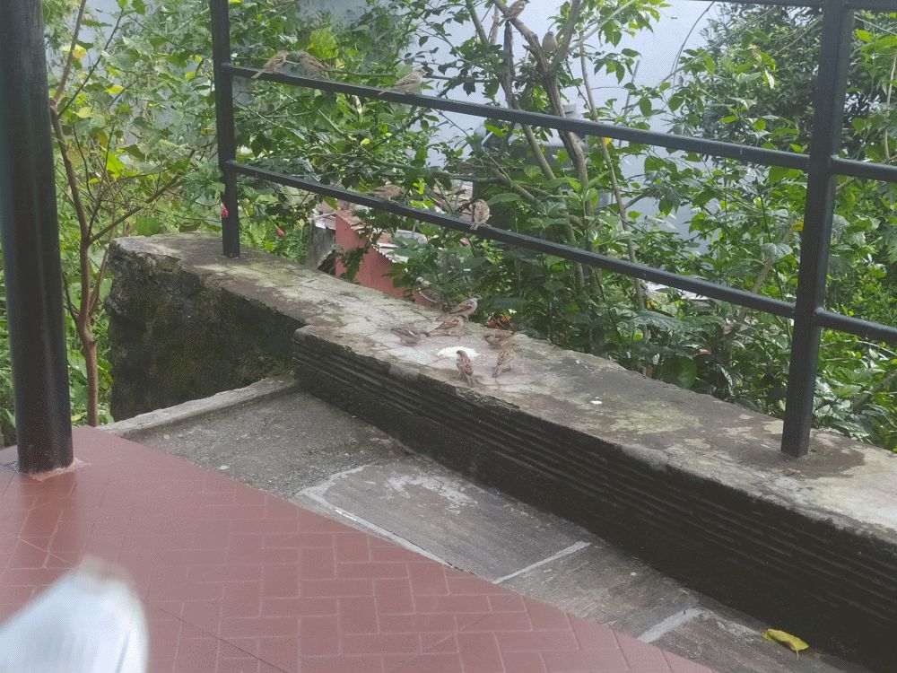 0082 IMG 20220929 154509 1000px
