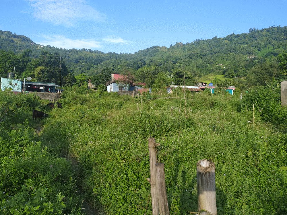0117 IMG 20221008 162736 1000px