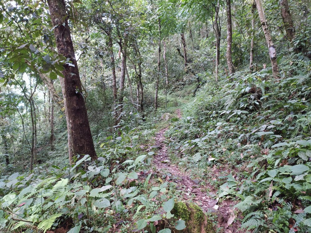 0124 IMG 20221009 141617 1000px